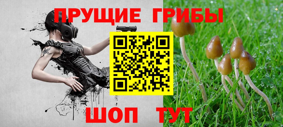 Ноябрьск  Галлюциногенные грибы Cubensis  Псилоцибиновые грибы Psilocybe  Вход с VPN 